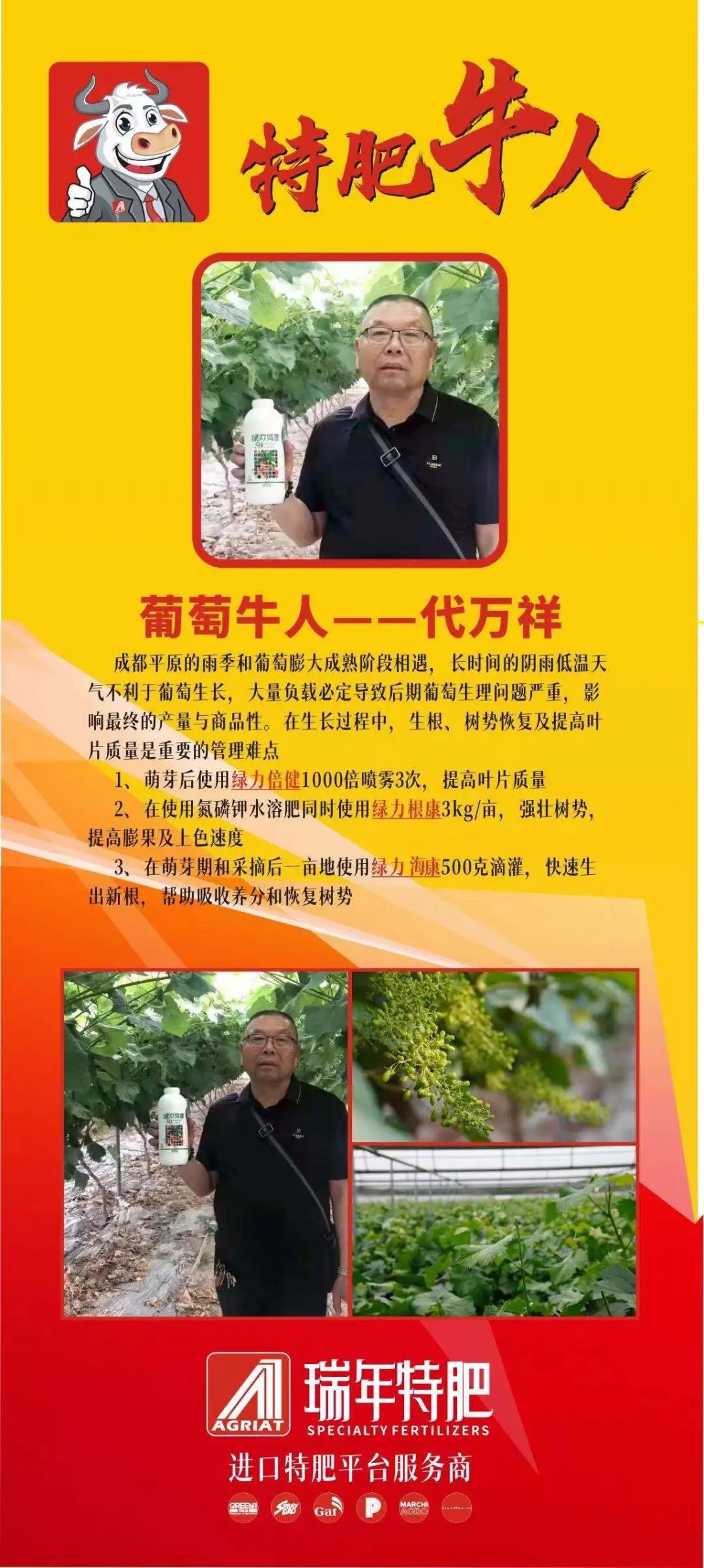 圖片關鍵詞 圖片關鍵詞