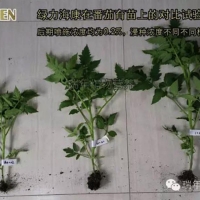綠力?？翟诜延缭囼?—促生長促開花