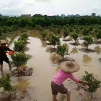 暴雨過后如何生產(chǎn)自救，這里有你需要知道的