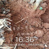 優(yōu)碳+海康，生根好搭檔