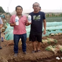 驕陽夏日，杭州瑞年為廣大種植戶提供技術(shù)服務(wù)