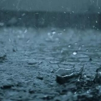 持續(xù)暴雨過后,如何拯救我們受傷的農作物