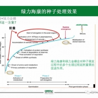 [GREEN SOLUTION]綠力?？颠M(jìn)行種子處理的機(jī)理和效果